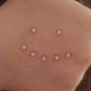 Meet your Posher, Lucy